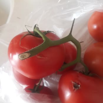 Migros Çürük Sebze Meyve
