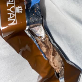 Alyan Food Kurtlu Ve Larvalı Ürünler