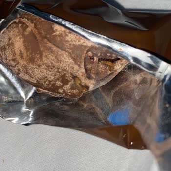 Alyan Food Kurtlu Ve Larvalı Ürünler