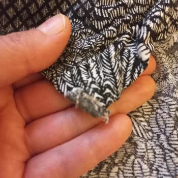 Suwen Pijama Kumaş Deformasyonu Ve Kullanıcı Hatası Diye Yanıtlanması