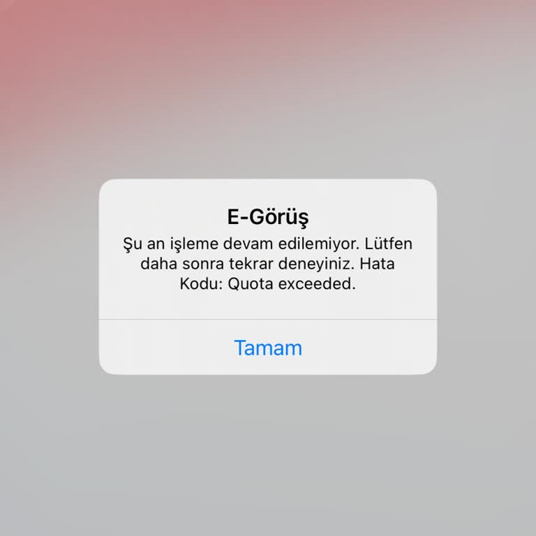 Adalet Bakanlığı E Görüş Hata Veriyor