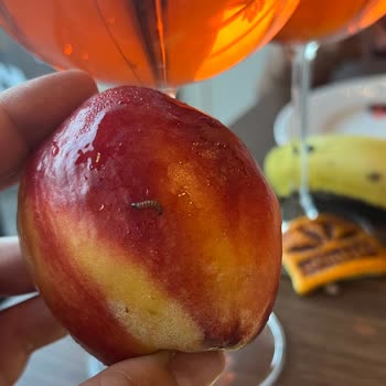 Aydınbey Hotels Aydınbey Queens Palace Pişmanlıktır.