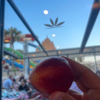 Aydınbey Hotels Aydınbey Queens Palace Pişmanlıktır.