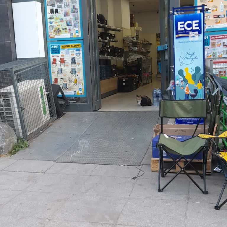 A101 Marketinde Bulunan Hayvanlar Ve Kirliği