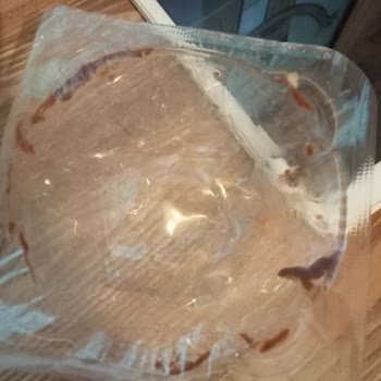 A101 Aldığım Profiterol Bozuk Çıktı.