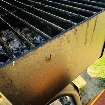 Guruss Barbekü Guruss Cg-075 Mangal Pişmanlığı