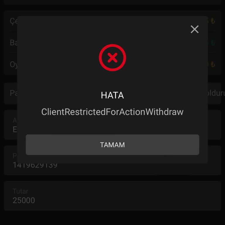 Pashagaming Para Çekim Talebinde Yaşanan Sorunlar Ve Hesap Erişim Problemi