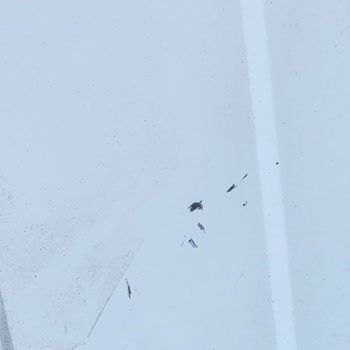 Samsung Ürünlerim Fabrikadan Hasarlı Geldi Değiştirmem Diyor!