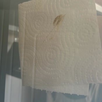 İzmir-Bergama Koza İstikbal Çözümsüzlüğü