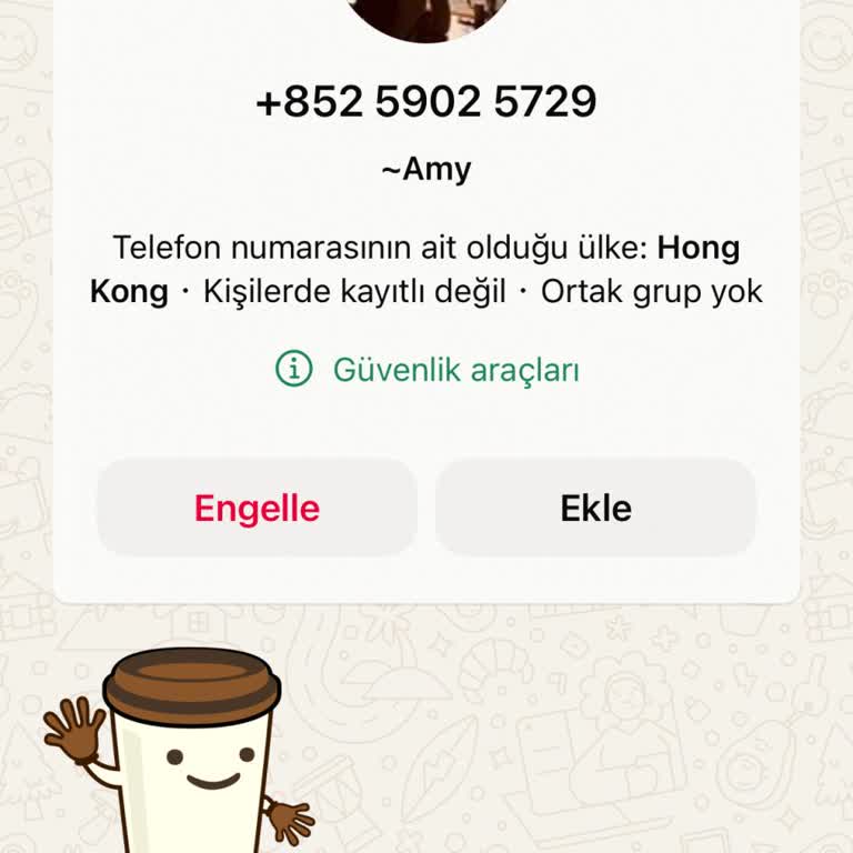 WhatsApp'ta Yabancı Numaralardan Gelen Mesajlar Hakkında Şikayet