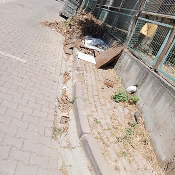 Darıca Belediyesi Darıca'da Temiz Çevre Hakkımızı İstiyoruz