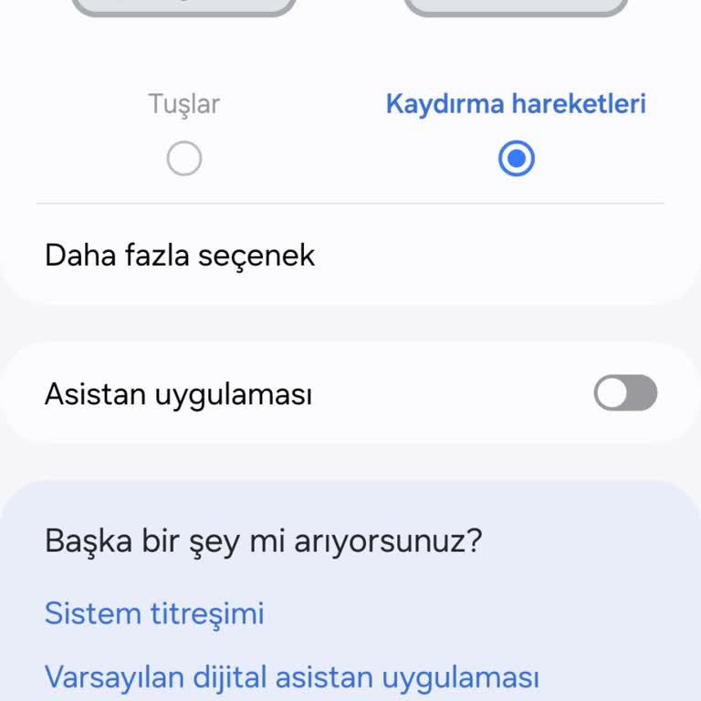 Samsung Telefon Telefonumda Circle To Search Özelliği Yok.