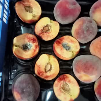 Metro Market Muğla Şubesi Bozuk Meyve Satışı