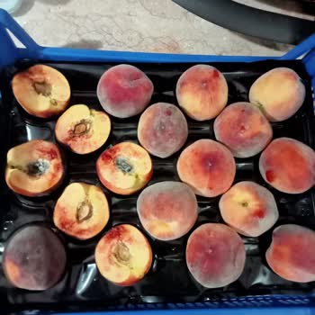 Metro Market Muğla Şubesi Bozuk Meyve Satışı