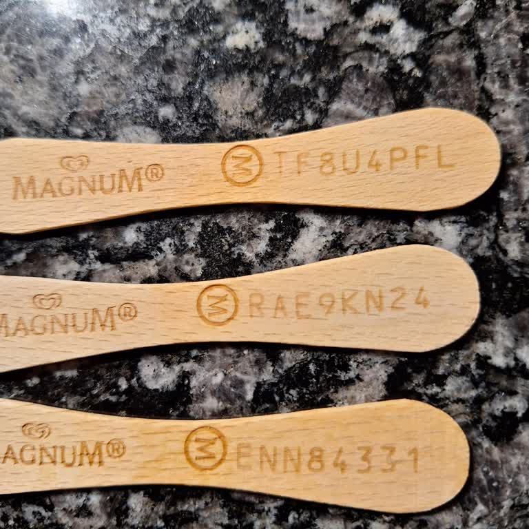 Magnum Şifre Daha Önce Girilmiş Uyarısı