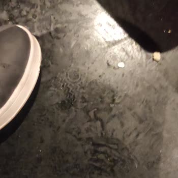 Paribu Antares Sinema Utanç Verici