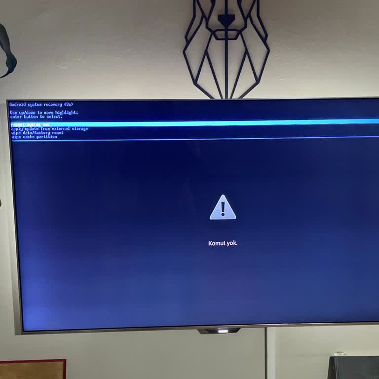 PHILIPS TV Komut Yok Çıkıyor