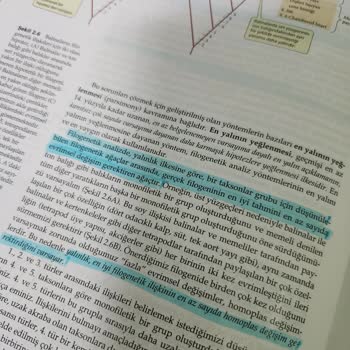 Nadir Kitap'TAN Aldığım Ciltli Kitap