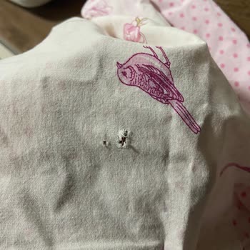 Çamaşır Makinesi Tüm Kıyafetlerimi Deliyor. Bosch Firması İlgilenmiyor