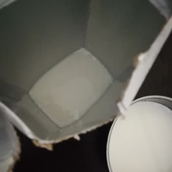 Yörükoğlu Marka Süt Bozuk Çıktı Midem Ağrıyor