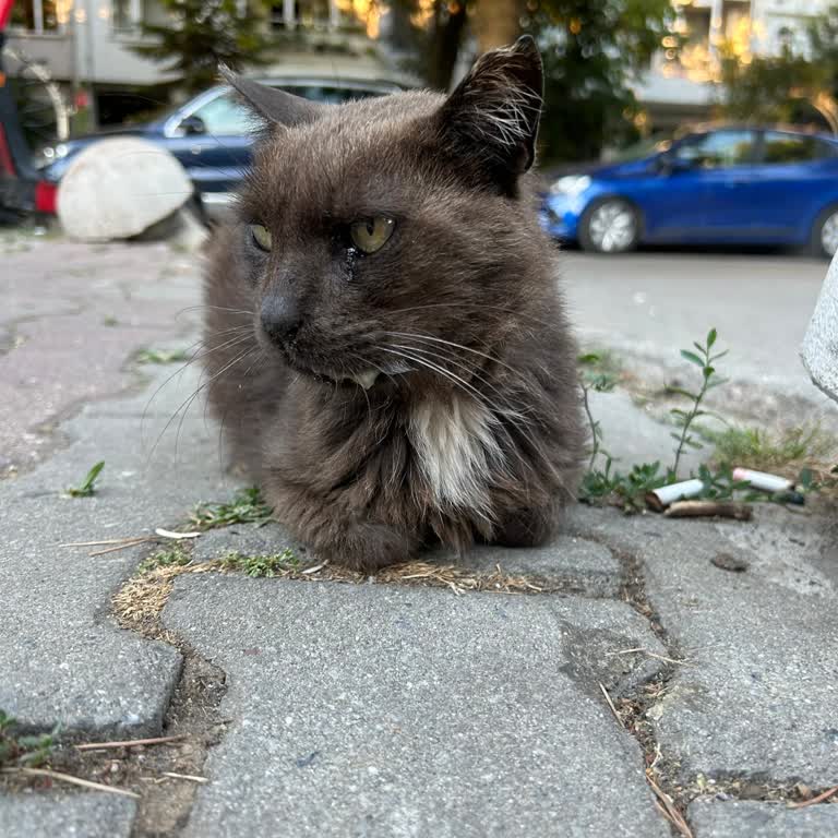 Kadıköy Belediyesi Belediye Çalışanları Talebimle İlgilenmedi