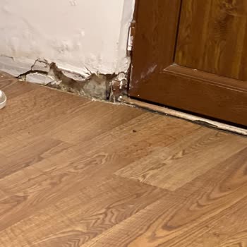 Kervan Tatil Köyü Otel Yöneticileri Kabadayı Gibi Davranışı