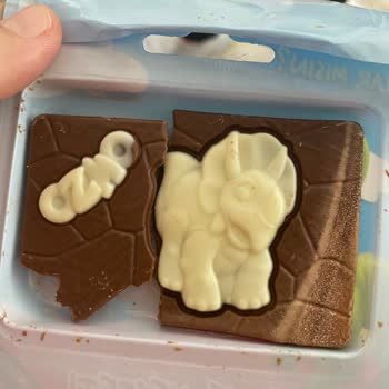 Keşif Oyunlu Çikolata Ozmo