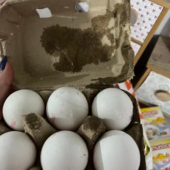 Migros Teslimat Kusurlarına Çözüm Getirmiyor