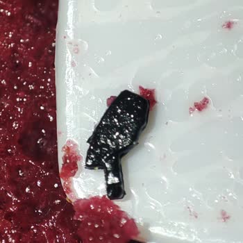 BİM Osmanoğlu Kadife Tatlısı