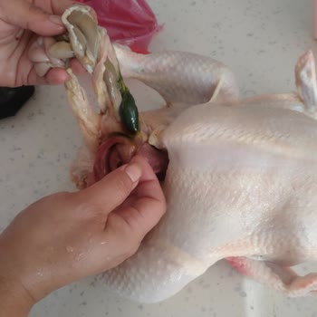 Lezita Şoku Bir Daha Asla Almam