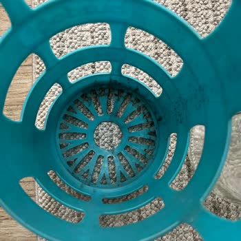 Buzdağı Su Bakteri Ve Yosun Lekeleri