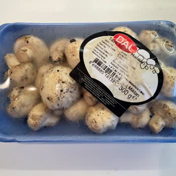 Carrefour SA Gönderdiği Bozuk Ürünler İçin İade Yapmıyor!