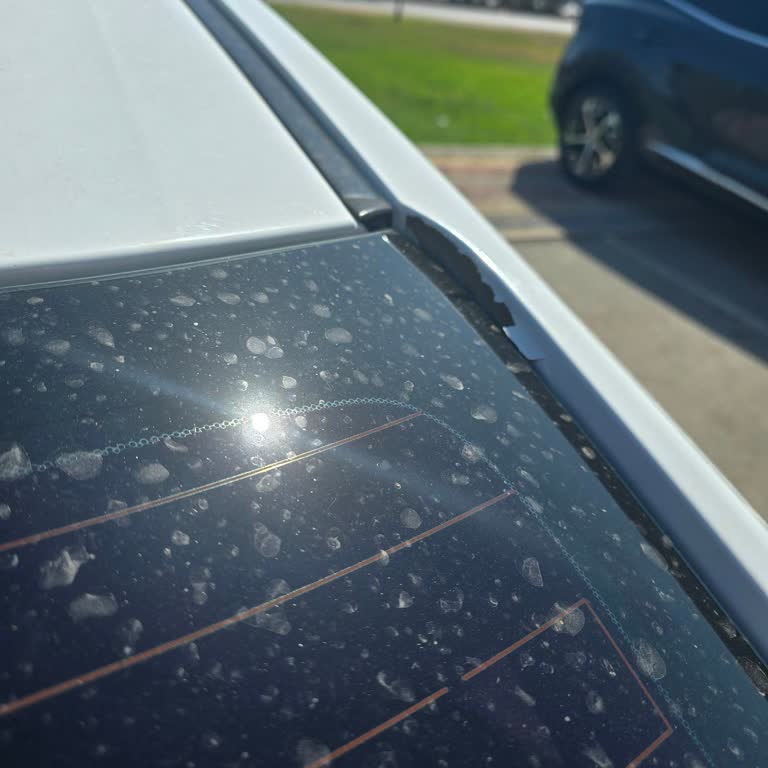 Honda Civic Boya Soyulması Ve Pişmanlık :((