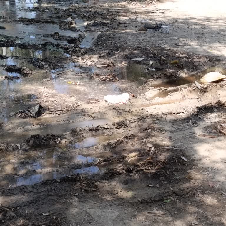 Kuşadası Belediyesi Sevgi Plajı Kirliliği