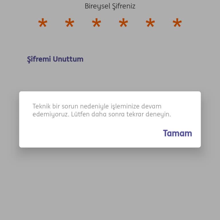 ING Teknik Sorunu Hatası