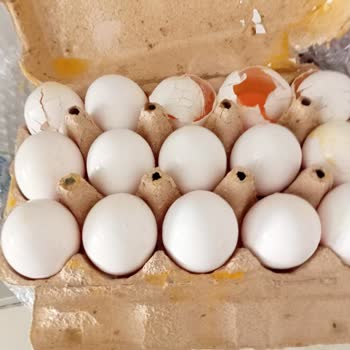 Carrefour Online Marketten Gelen Kırık Yumurtalar Ve Zarar Görmüş Ürünler