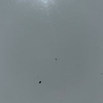 Opet Araç Yıkama Cihazı Şikayeti