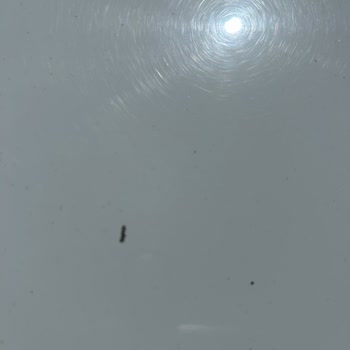 Opet Araç Yıkama Cihazı Şikayeti