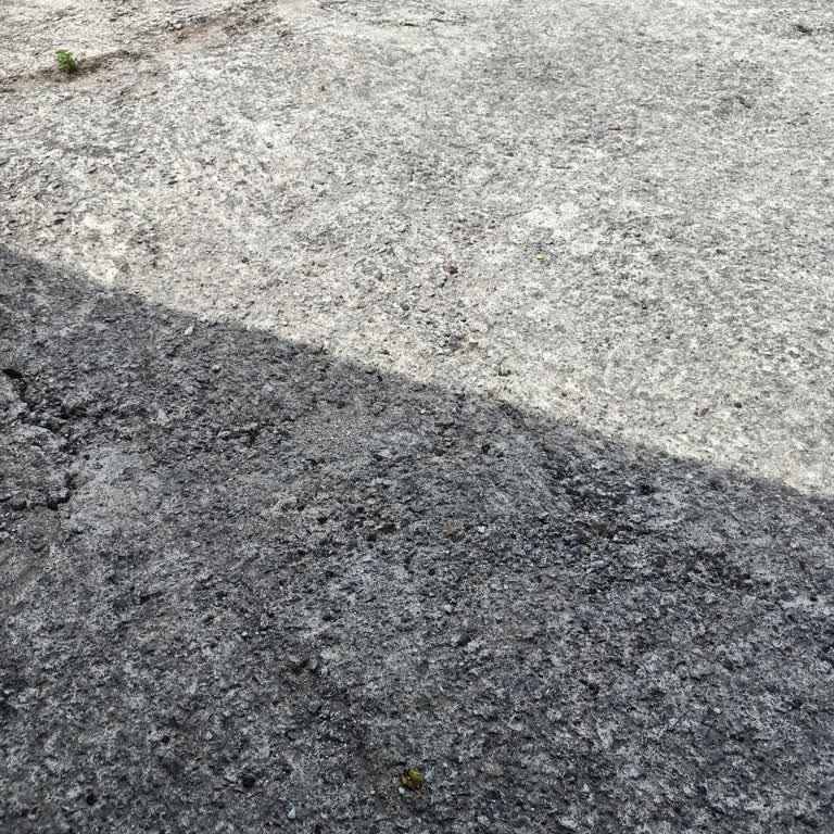 Bulancak Belediyesi Kasislerle Yaşamak Zordur Bulancak Ta