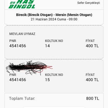 Öz Has Bingöl Turizm Kaçak Biletsiz Yolcu Götürüyor