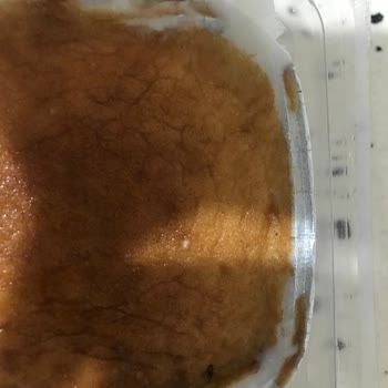 BİM Osmanoğlu Sütlaçtan Sinek Çıktı