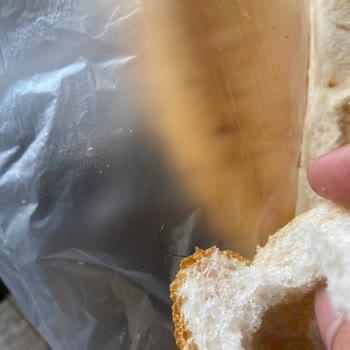 A101 Ekmekten Kıl Çıktı