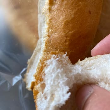 A101 Ekmekten Kıl Çıktı