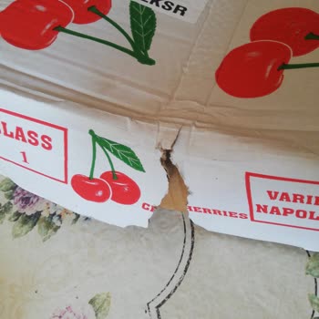 Aras Kargo Gönderilen Gıda Ürününü Yarısını Yemişler 🤬