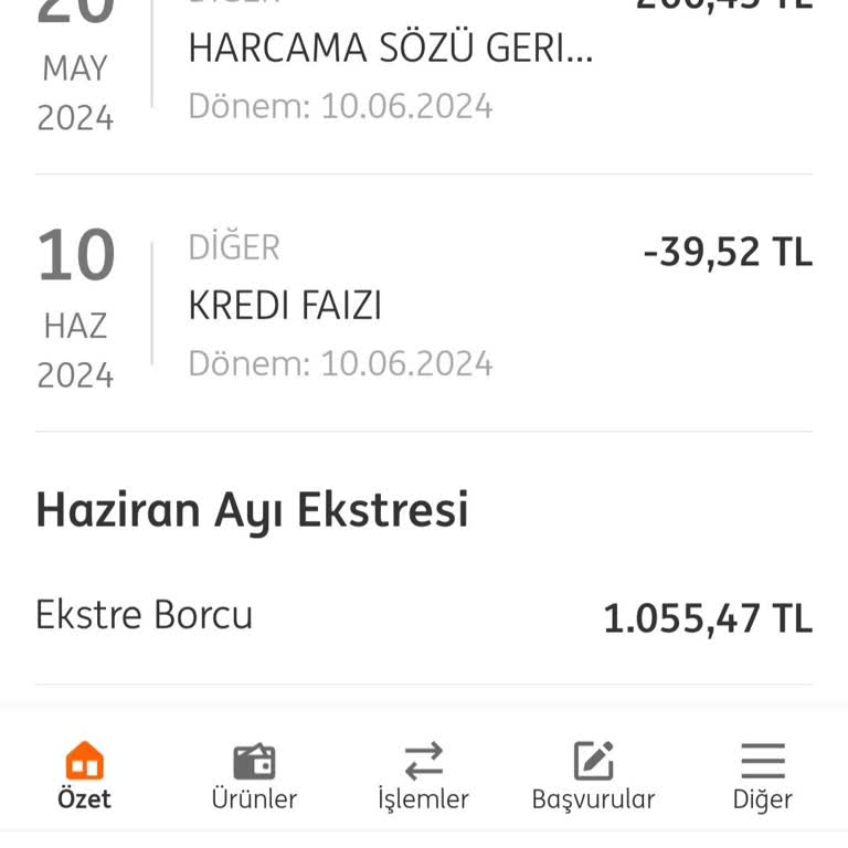ING Bank Kredi Kartı