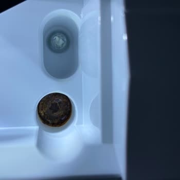 Profilo Çamaşır Makinesi Vida Ve Demir Küflenmesi