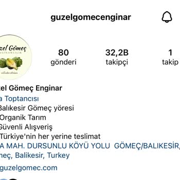 Güzel Gömeç 'in Tüm Enginarları Kılçıklı