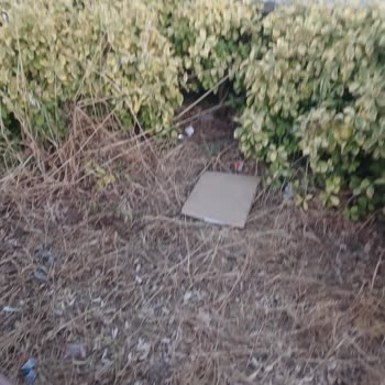 Gemlik Belediyesi Kaykay Pistini Bu Sene Çok Bakımsız