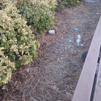 Gemlik Belediyesi Kaykay Pistini Bu Sene Çok Bakımsız