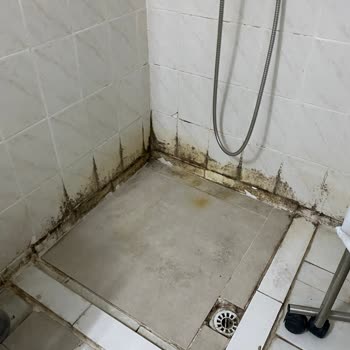 Ege Üniversitesi Hastanesi Hijyen Sıfır